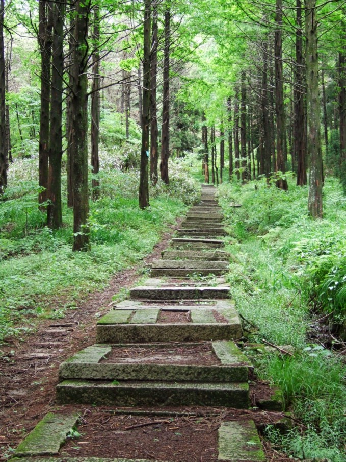 DSCF5596.jpg