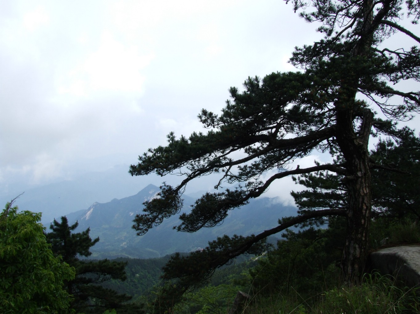 DSCF5616.jpg