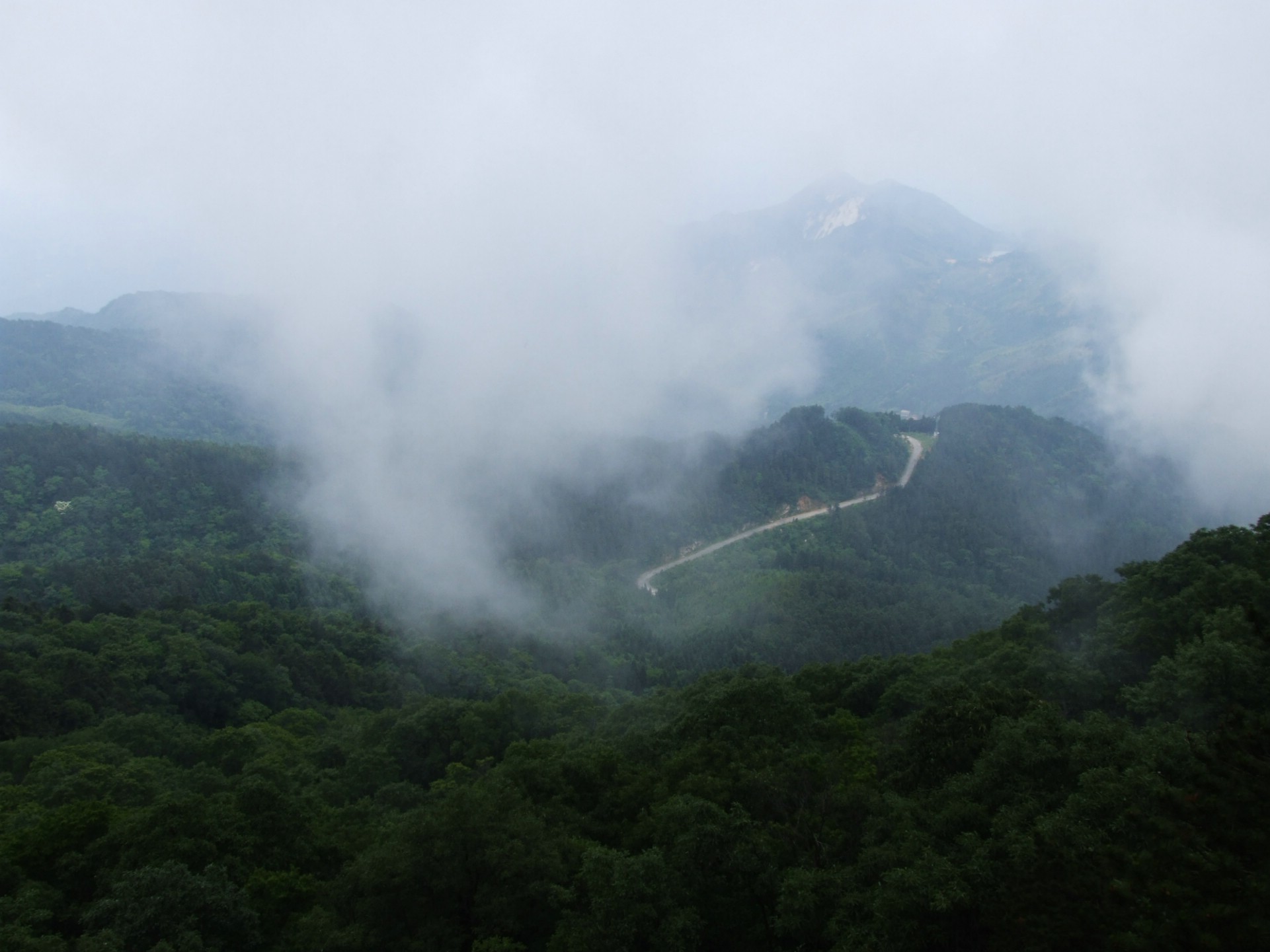 DSCF5645.jpg