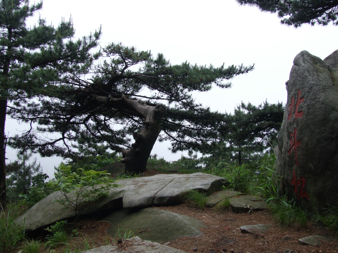 DSCF5604.jpg