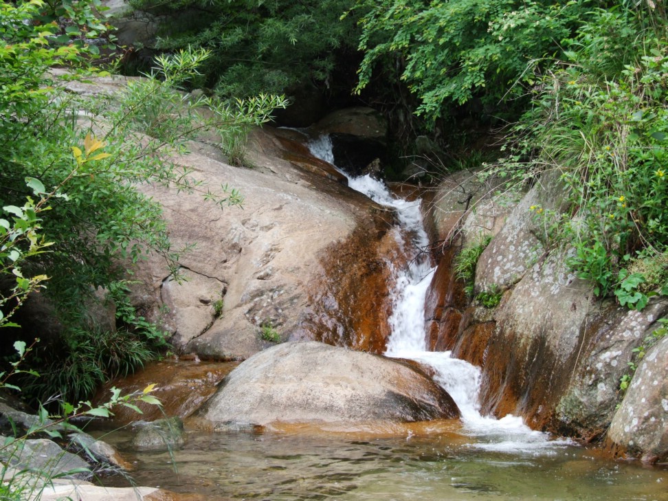 DSCF5649.jpg