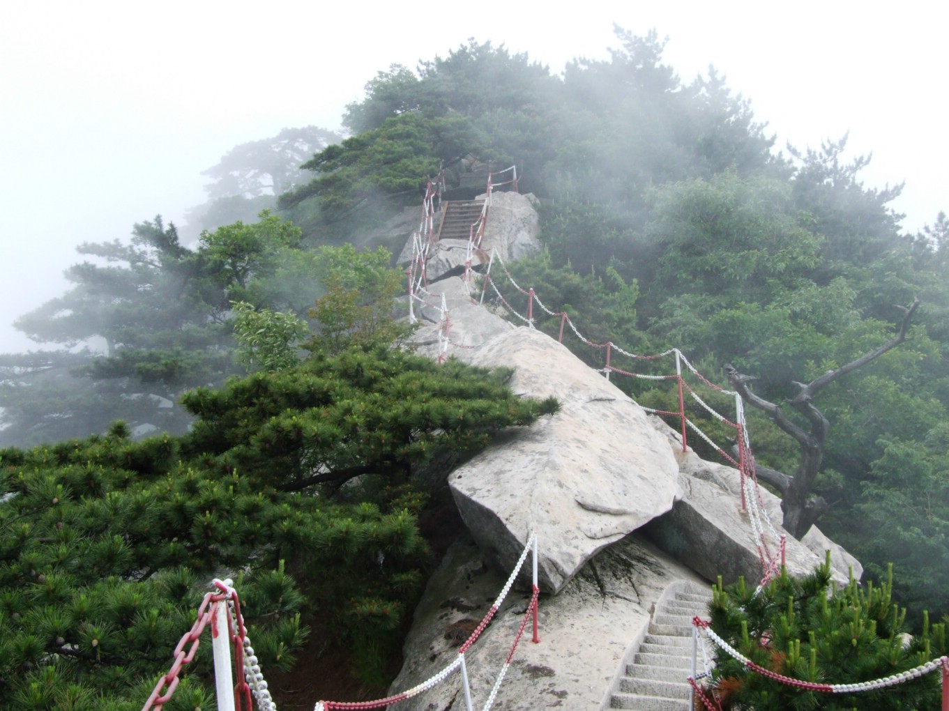 DSCF5639.jpg