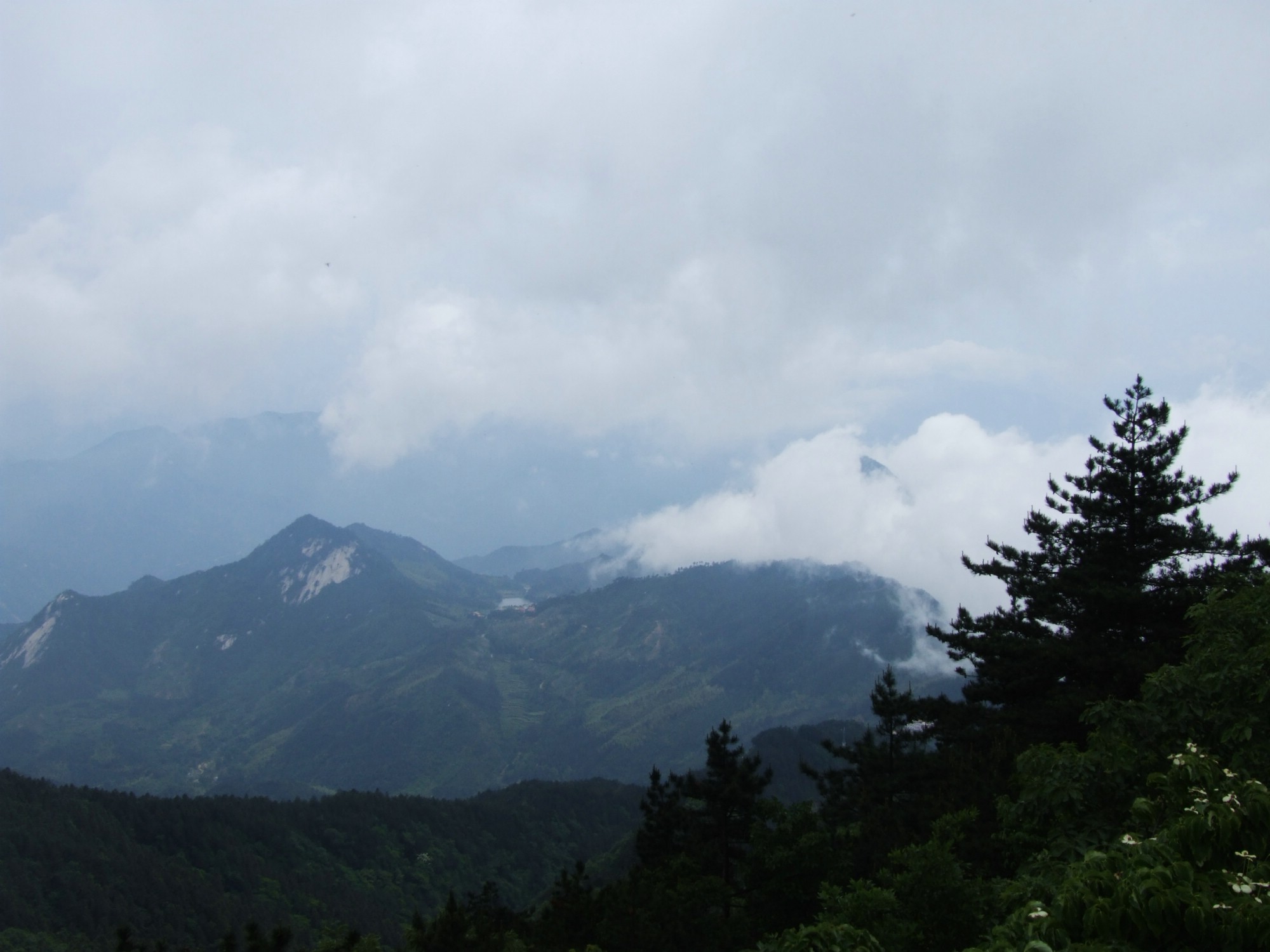 DSCF5607.jpg
