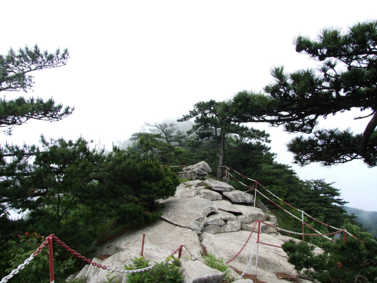 DSCF5630.jpg