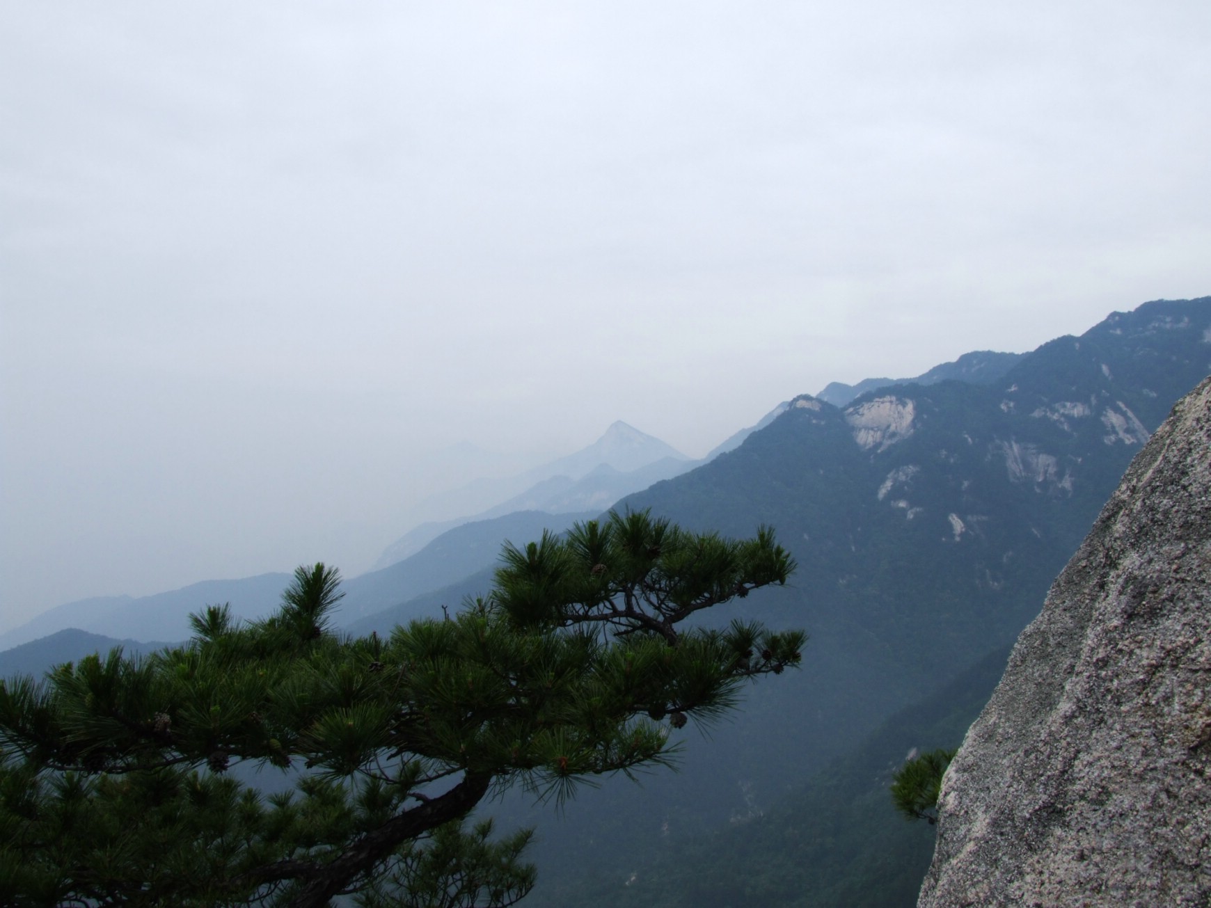 DSCF5650.jpg