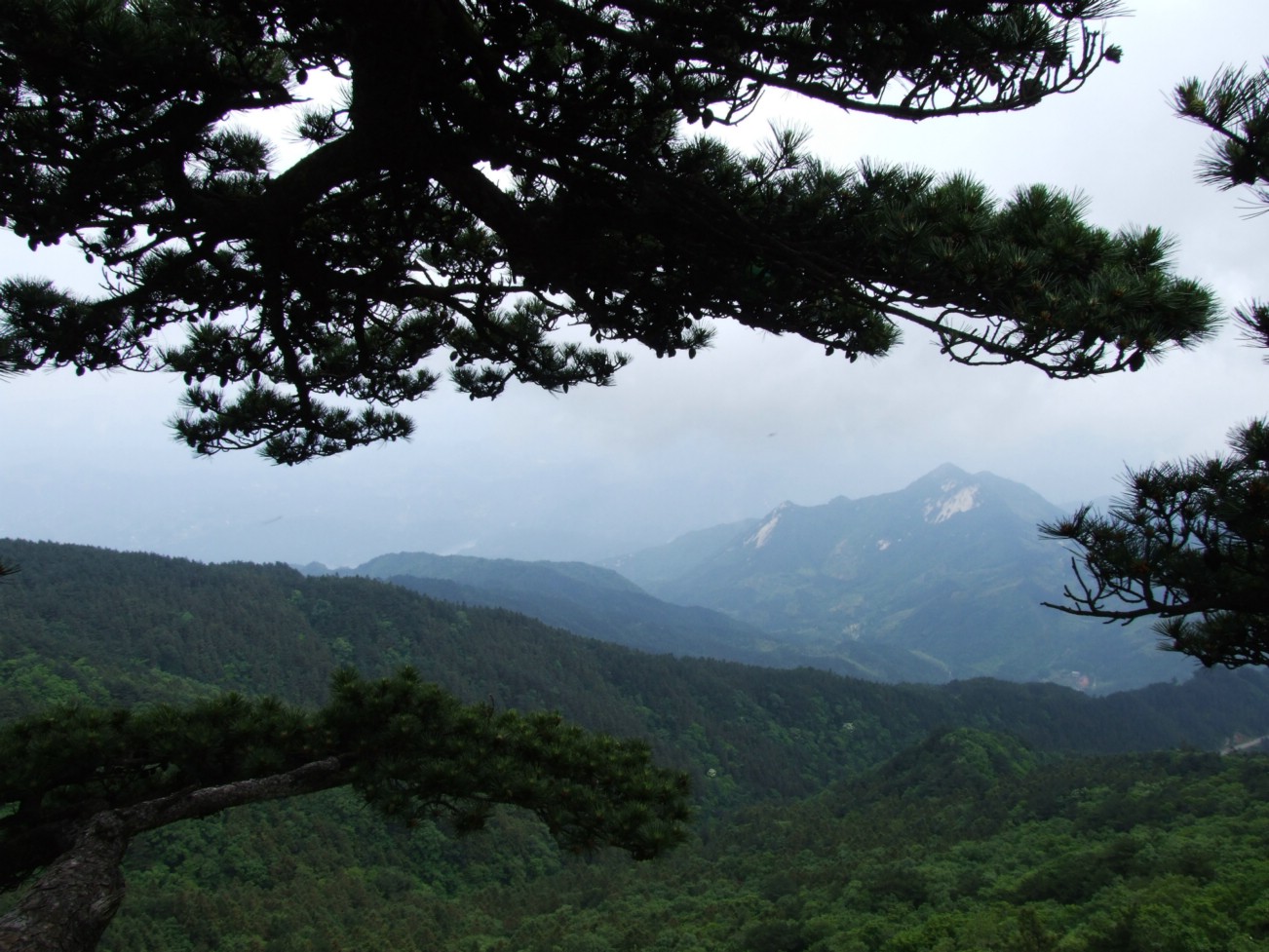 DSCF5629.jpg
