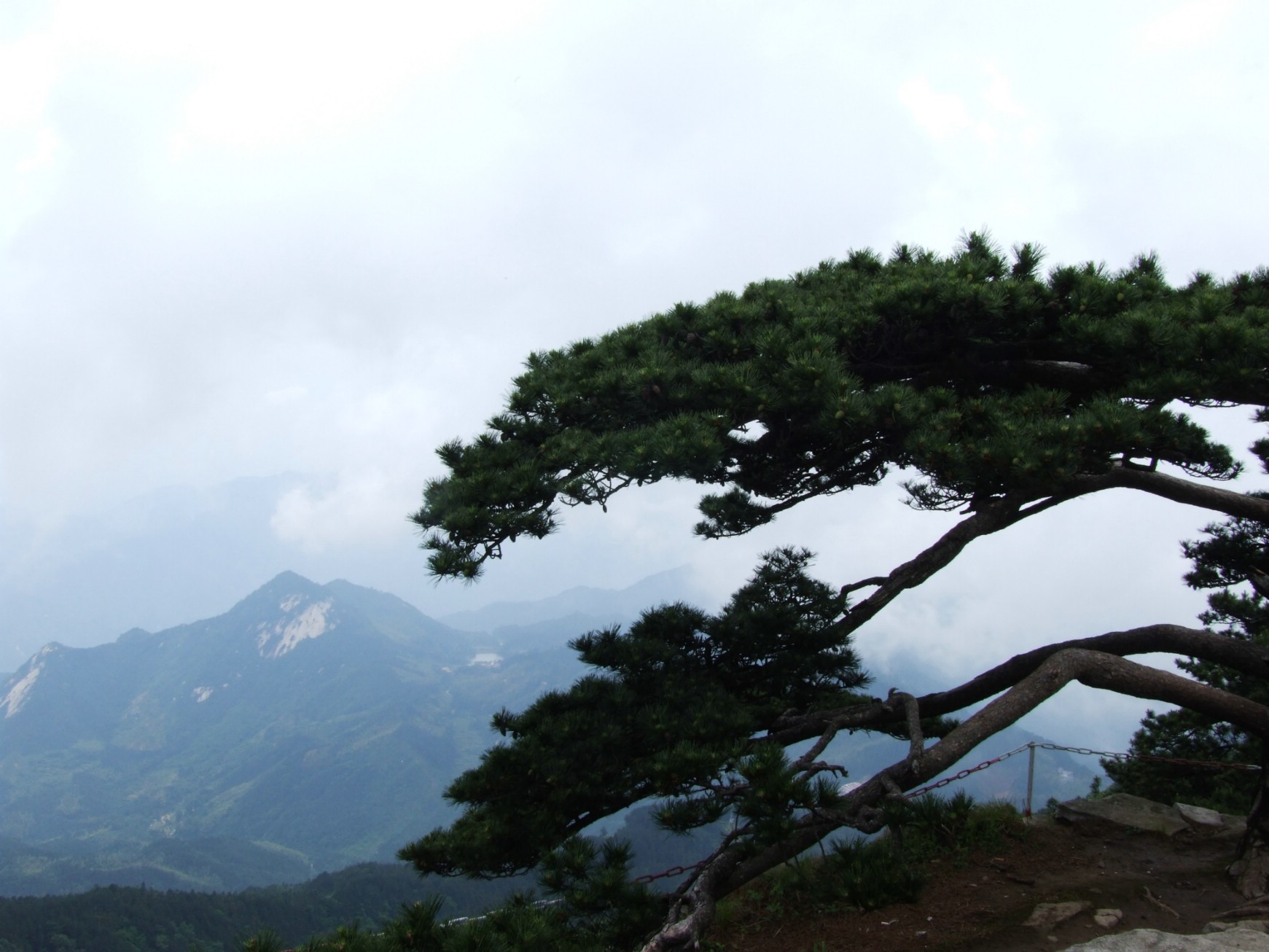 DSCF5628.jpg