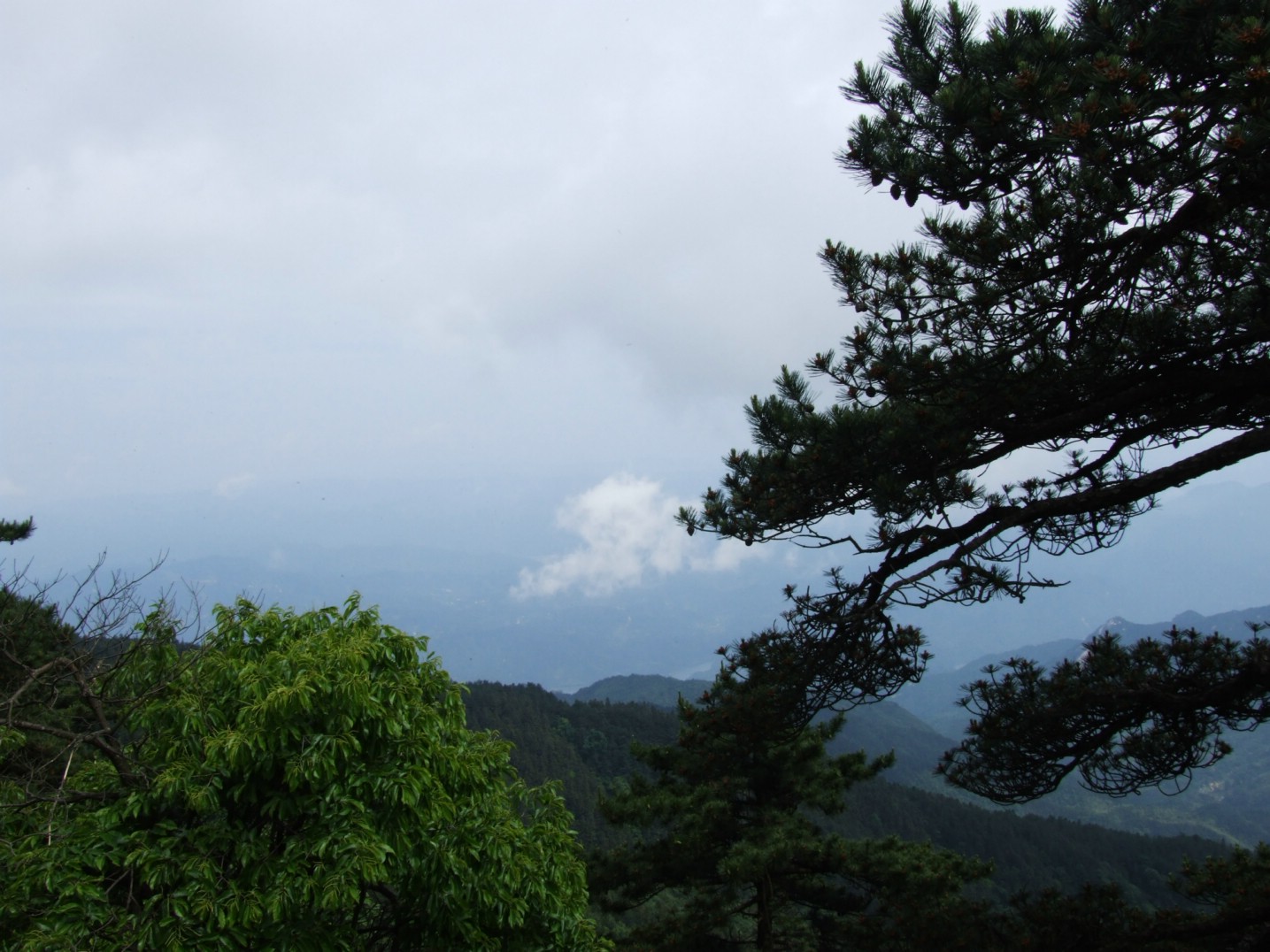 DSCF5617.jpg