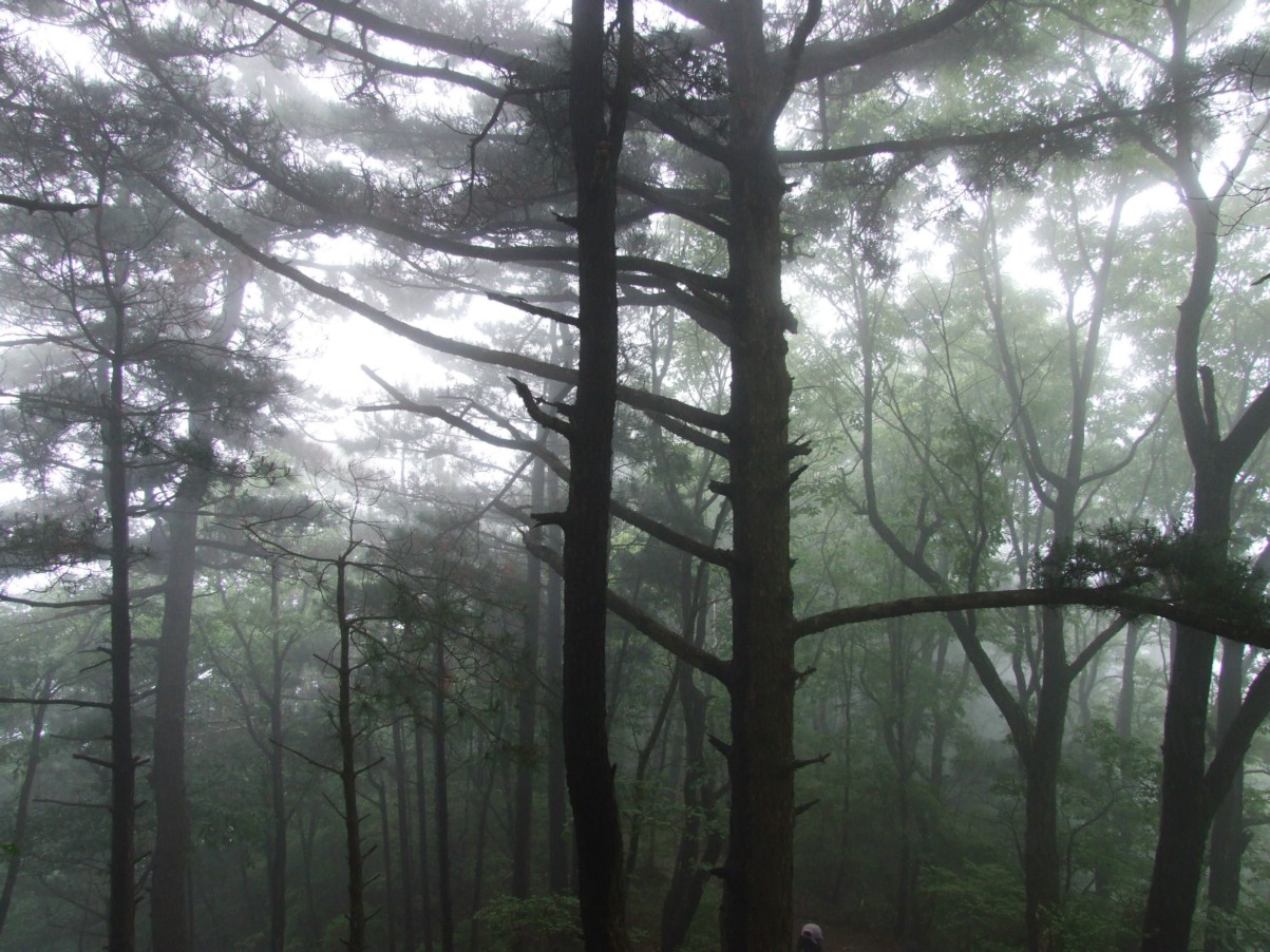 DSCF5647.jpg