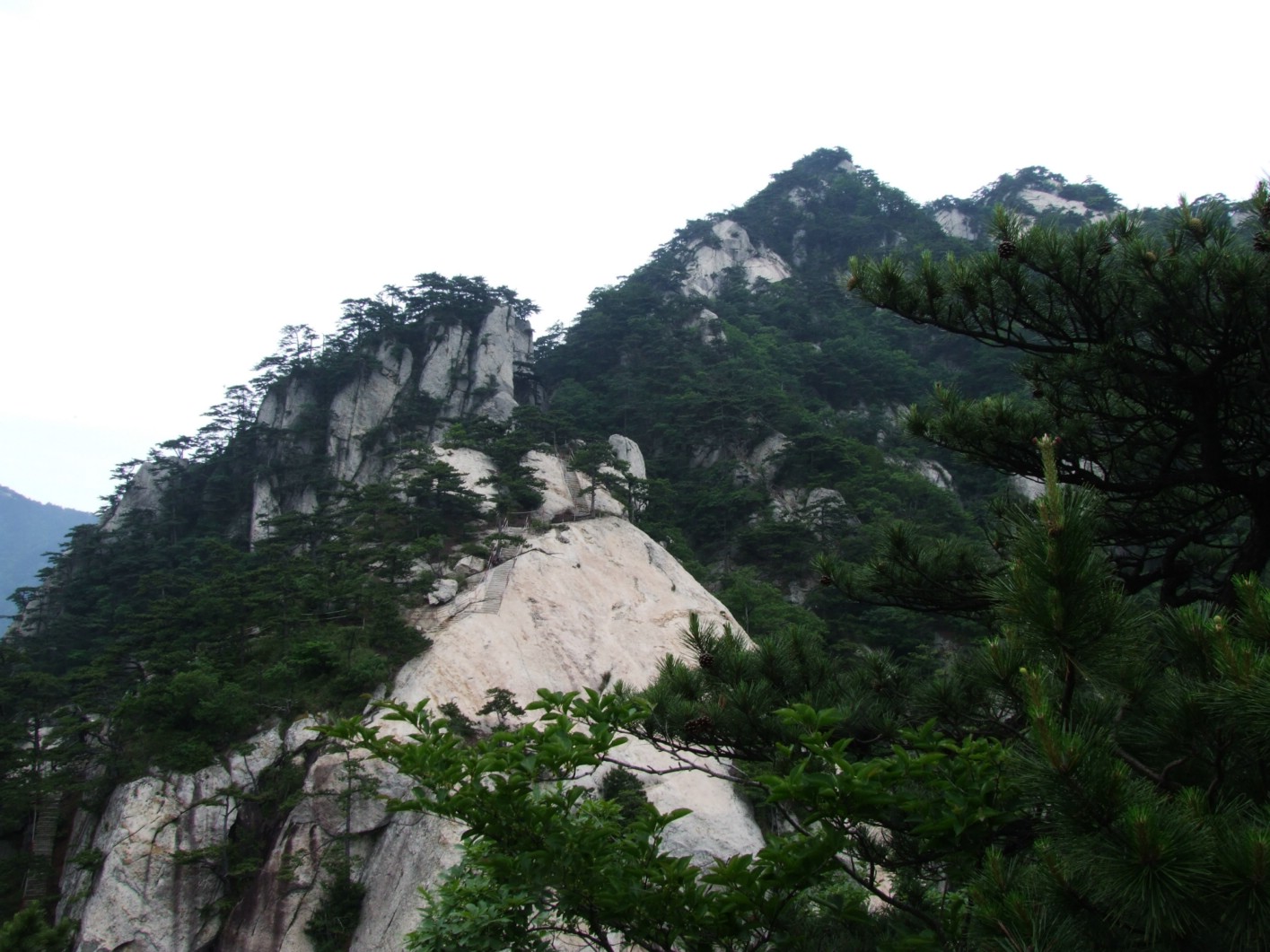 DSCF5665.jpg
