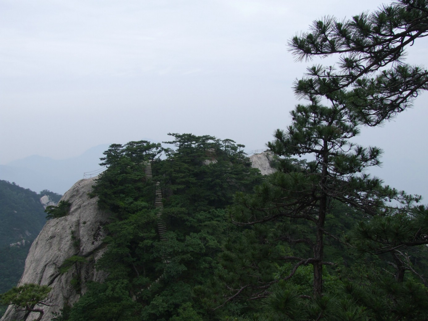 DSCF5672.jpg