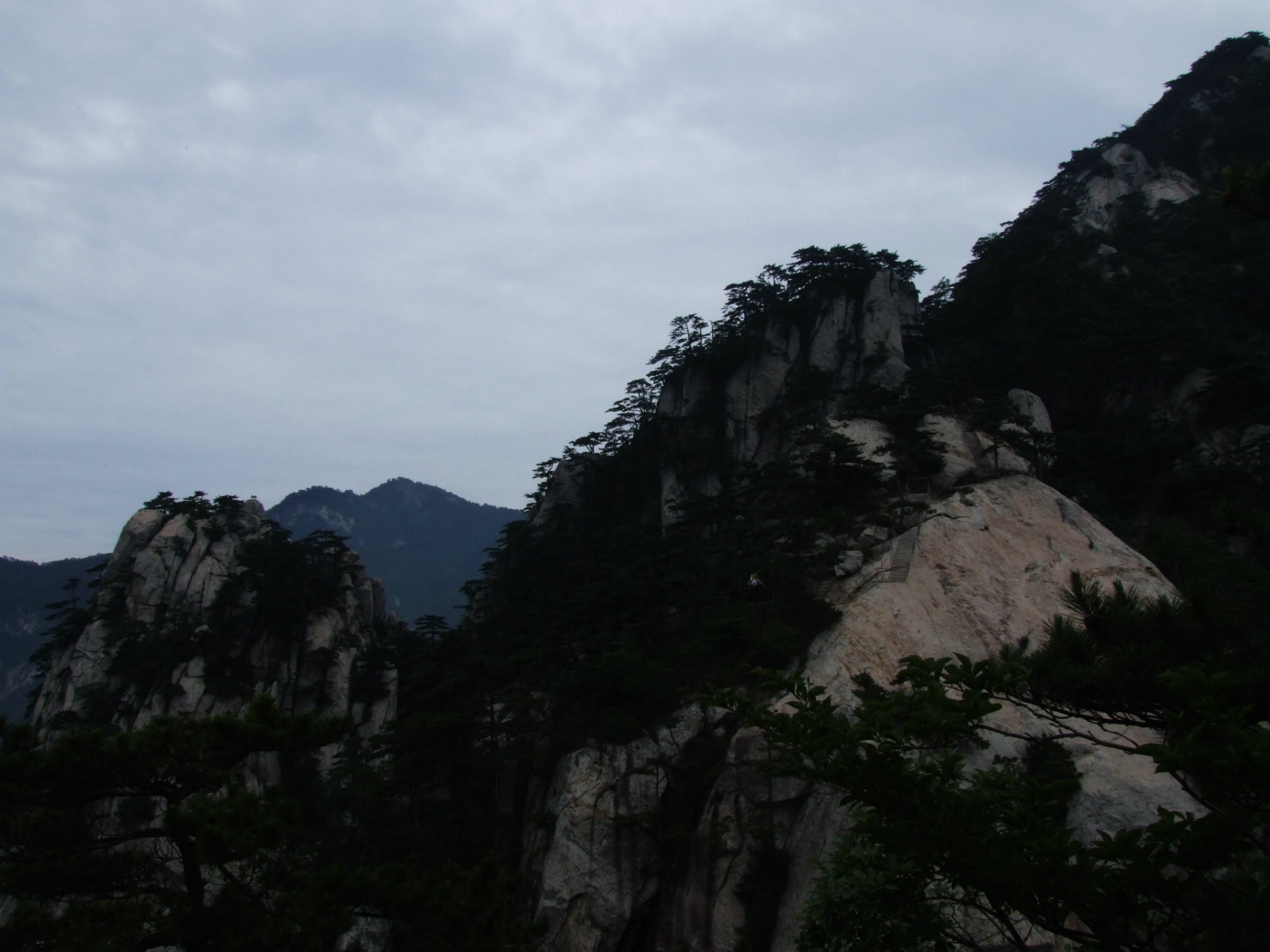DSCF5666.jpg