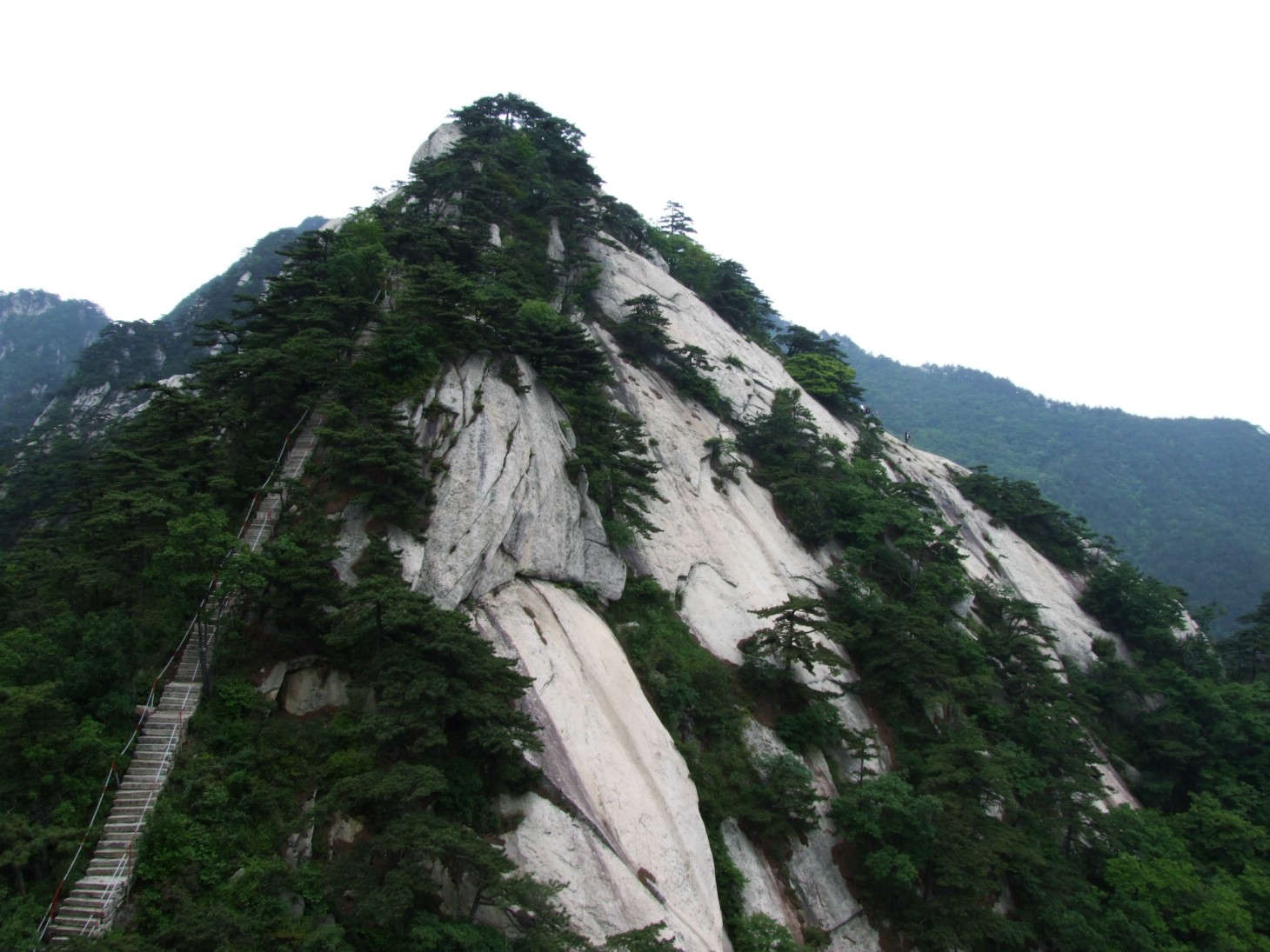 DSCF5678.jpg