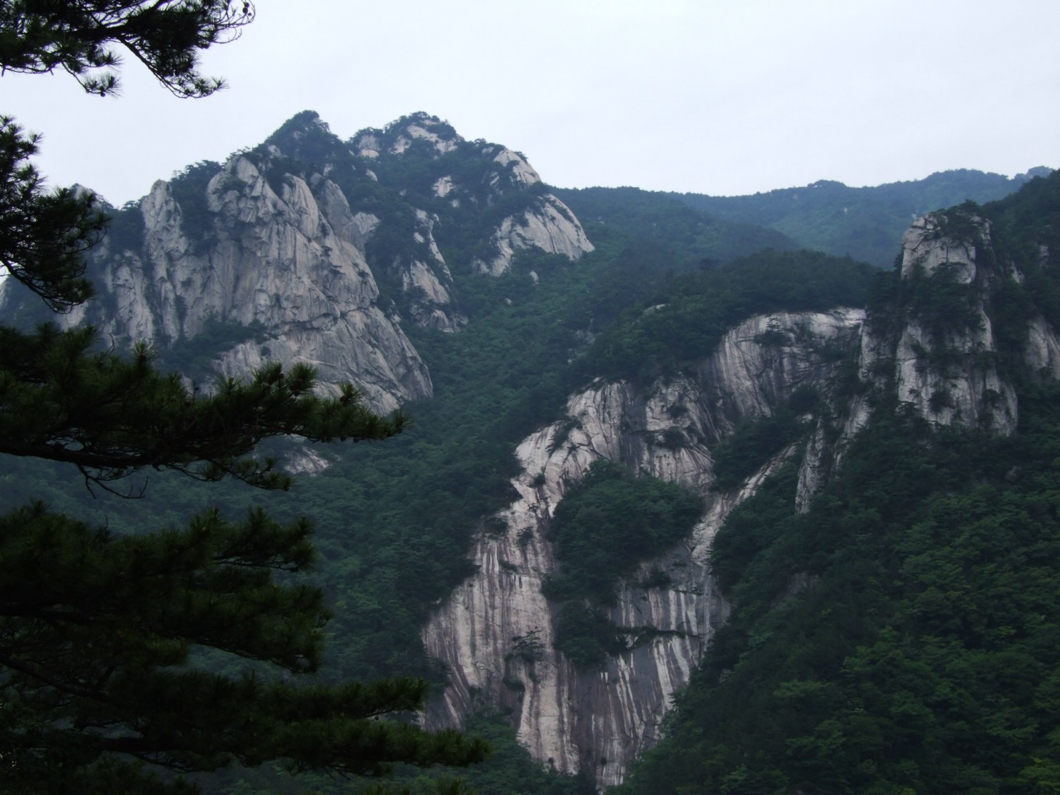 DSCF5651.jpg