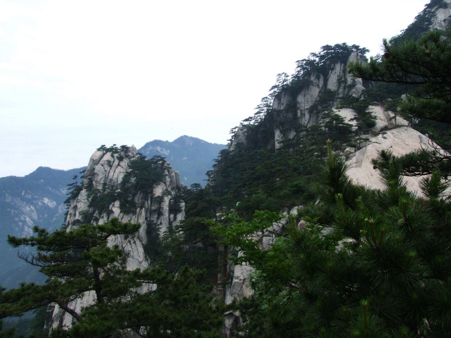 DSCF5664.jpg