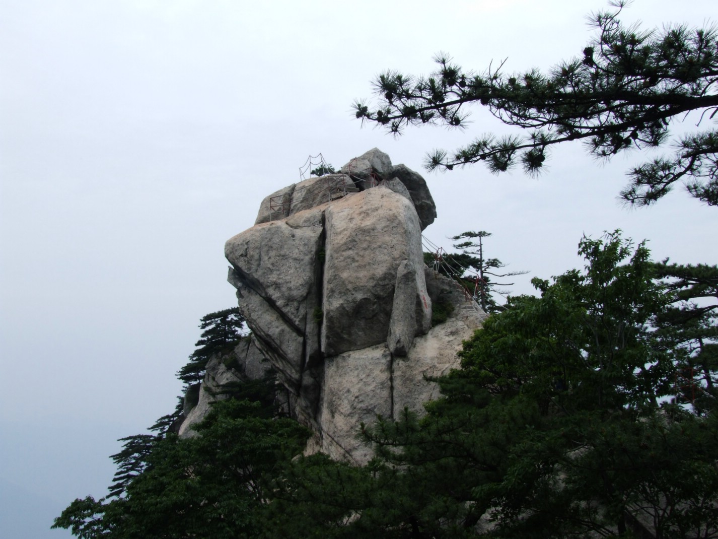 DSCF5684.jpg