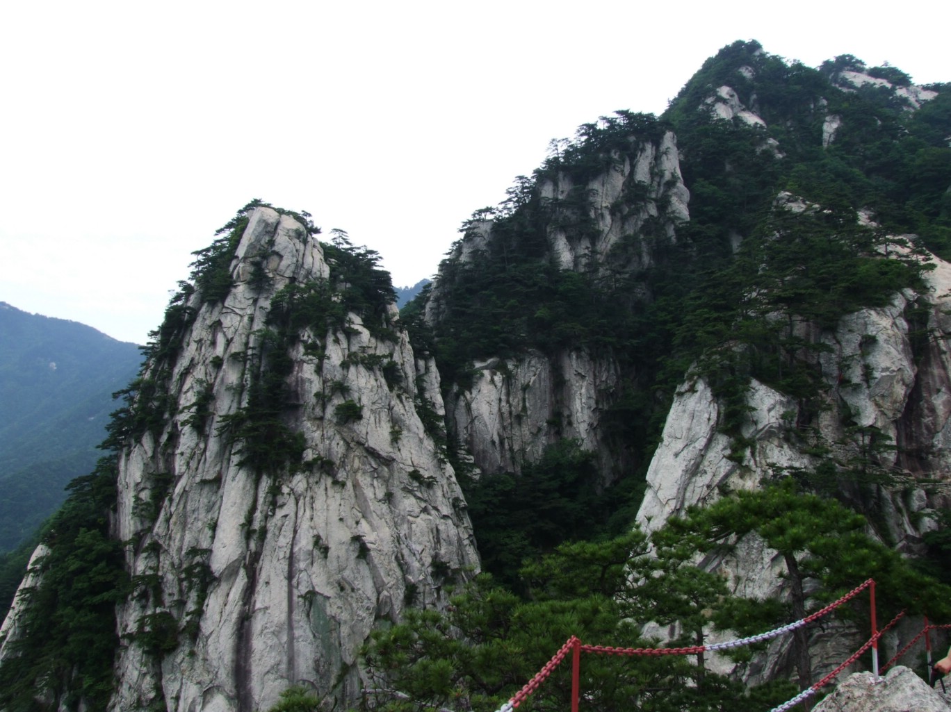DSCF5663.jpg