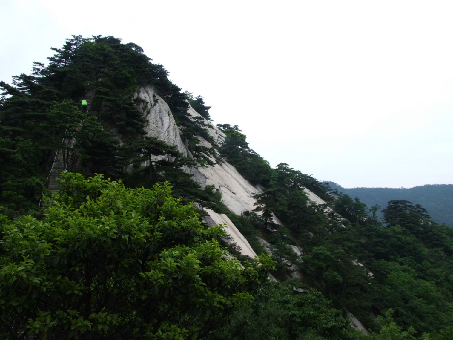 DSCF5681.jpg