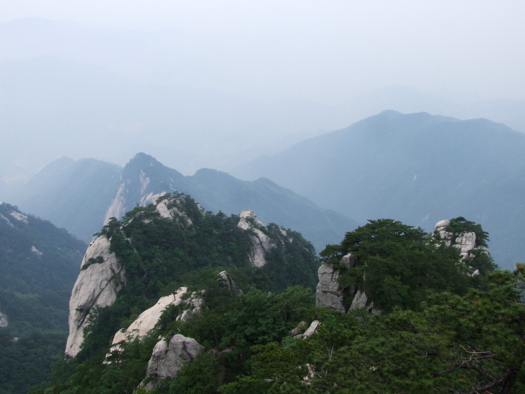 DSCF5675.jpg