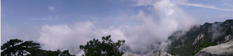首先来张全景