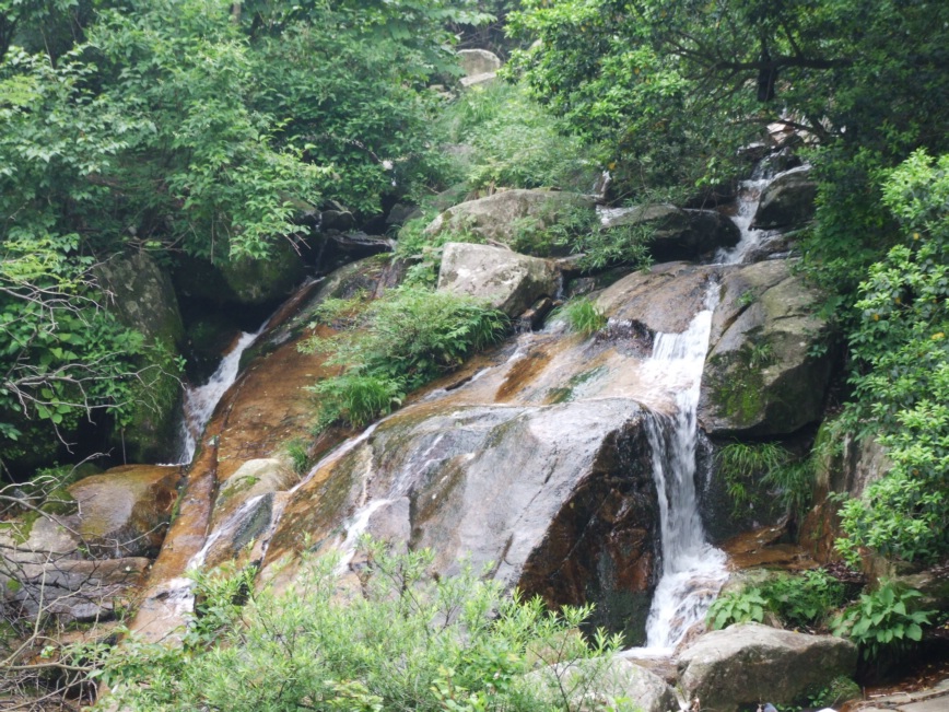 DSCF5751.jpg