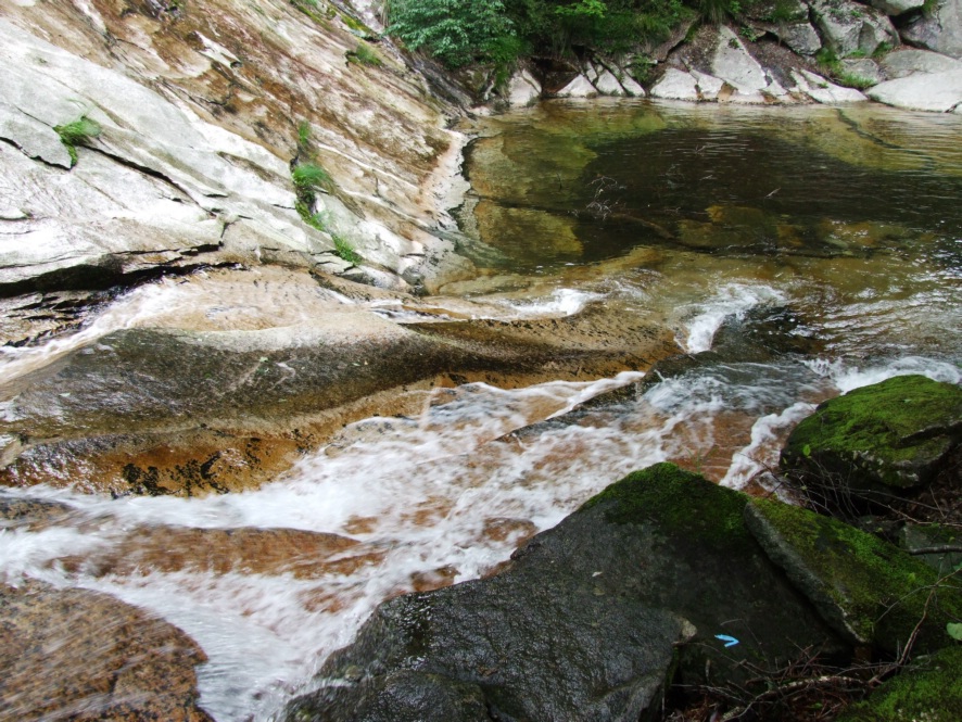DSCF5738.jpg