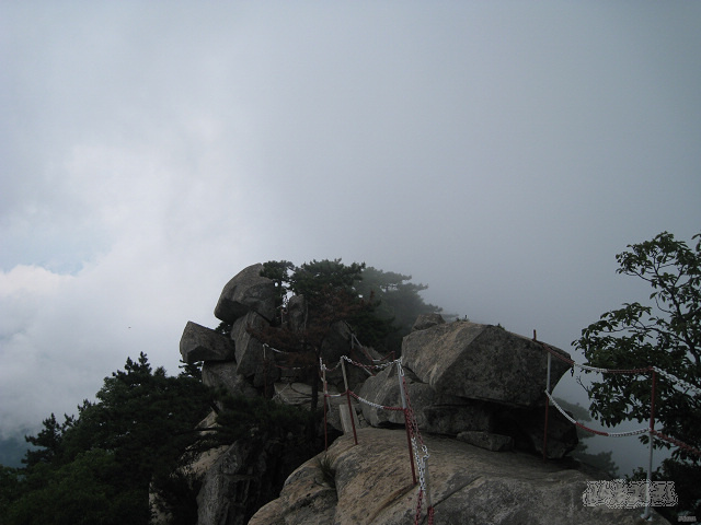 Ƭ 070.jpg
