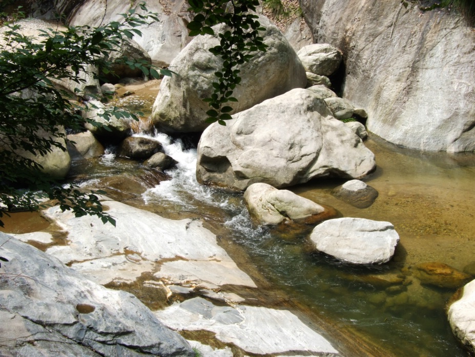 DSCF5824.jpg