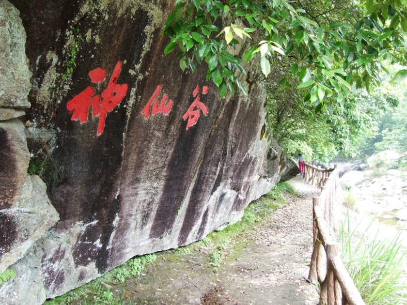 DSCF5812.jpg