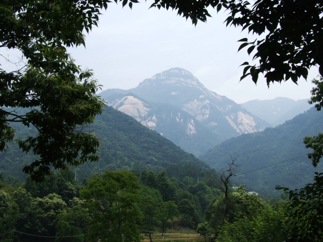 DSCF5829.jpg