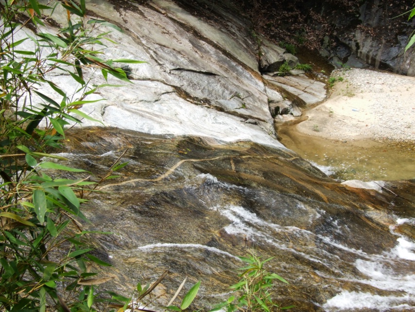 DSCF5823.jpg