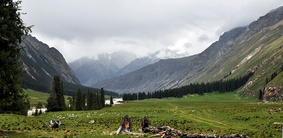 DSC_0248.jpg