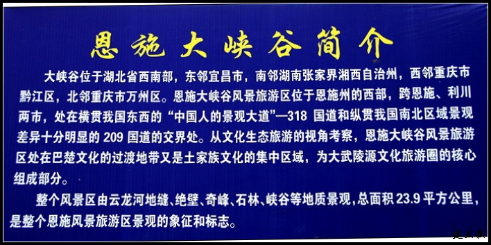 ʩ2 238.jpg