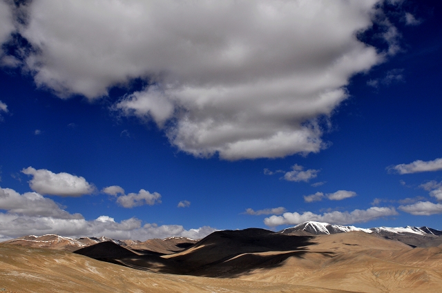 DSC_1560.jpg
