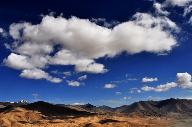 DSC_1582.jpg