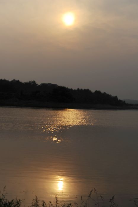 DSC_0666.JPG