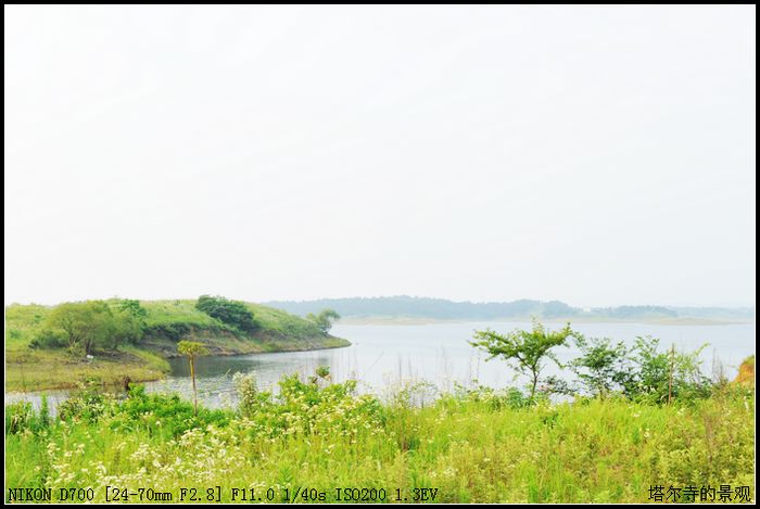 DSC_0655.JPG