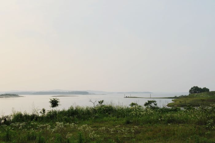 DSC_0654.JPG