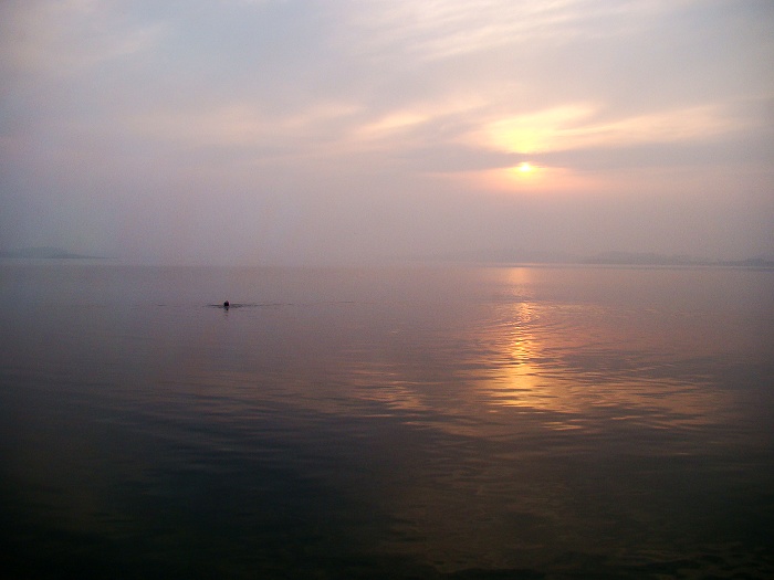 DSC05147.jpg