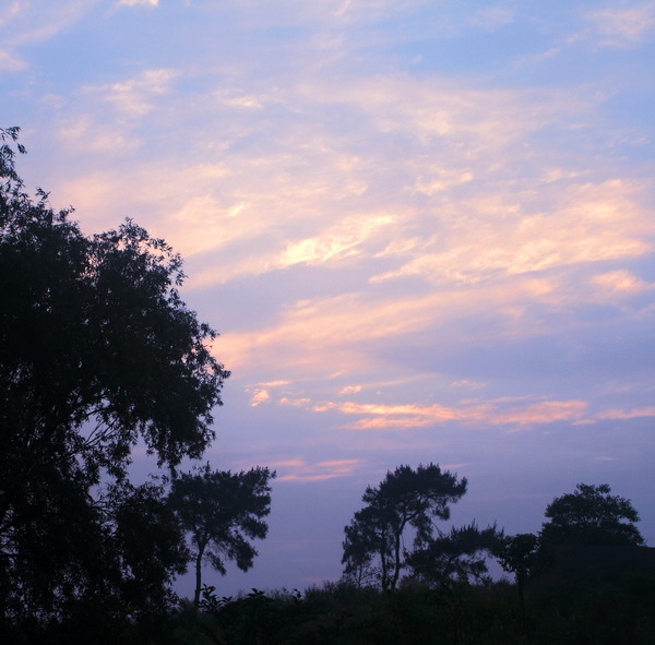 _MG_2777.jpg