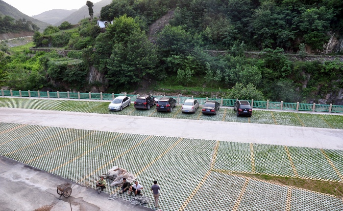 003.JPG