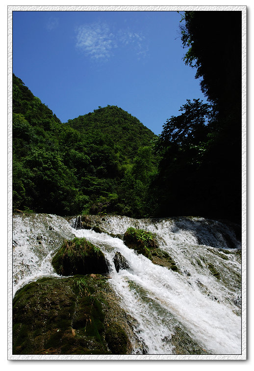 DSC_2564.jpg