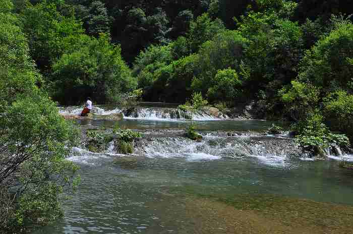 DSC_0028a.jpg
