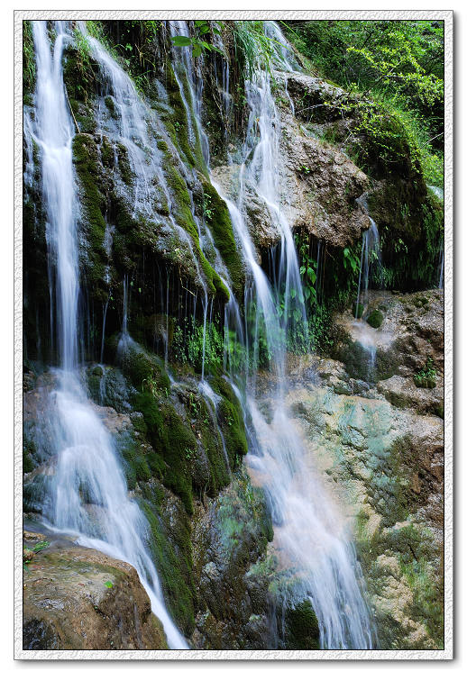 DSC_2119.jpg