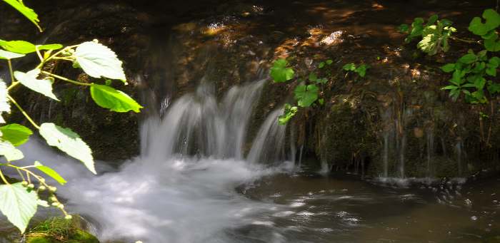 DSC_0036a.jpg