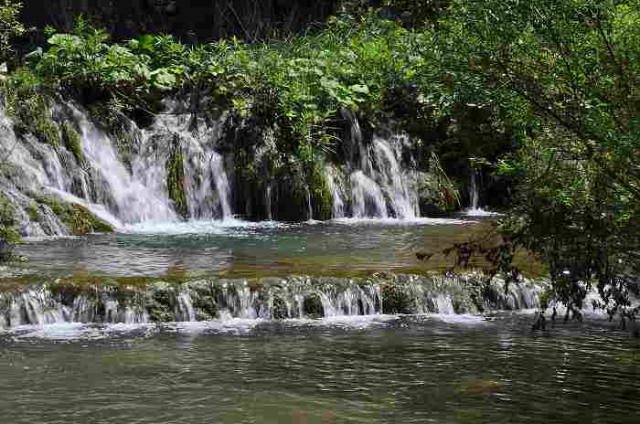 DSC_0040a.jpg