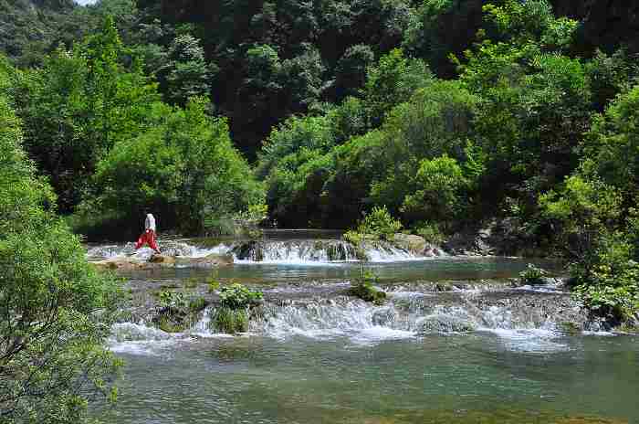 DSC_0030.jpg