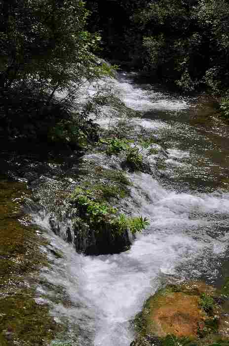 DSC_0017.jpg