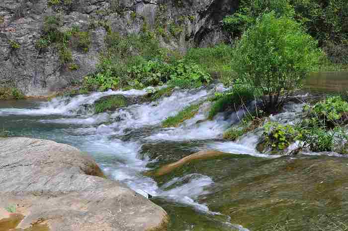DSC_0006.jpg
