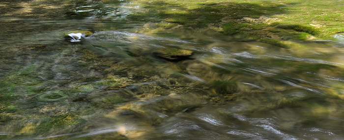 DSC_0054.jpg